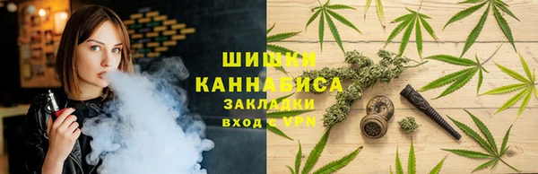 крисы Балахна